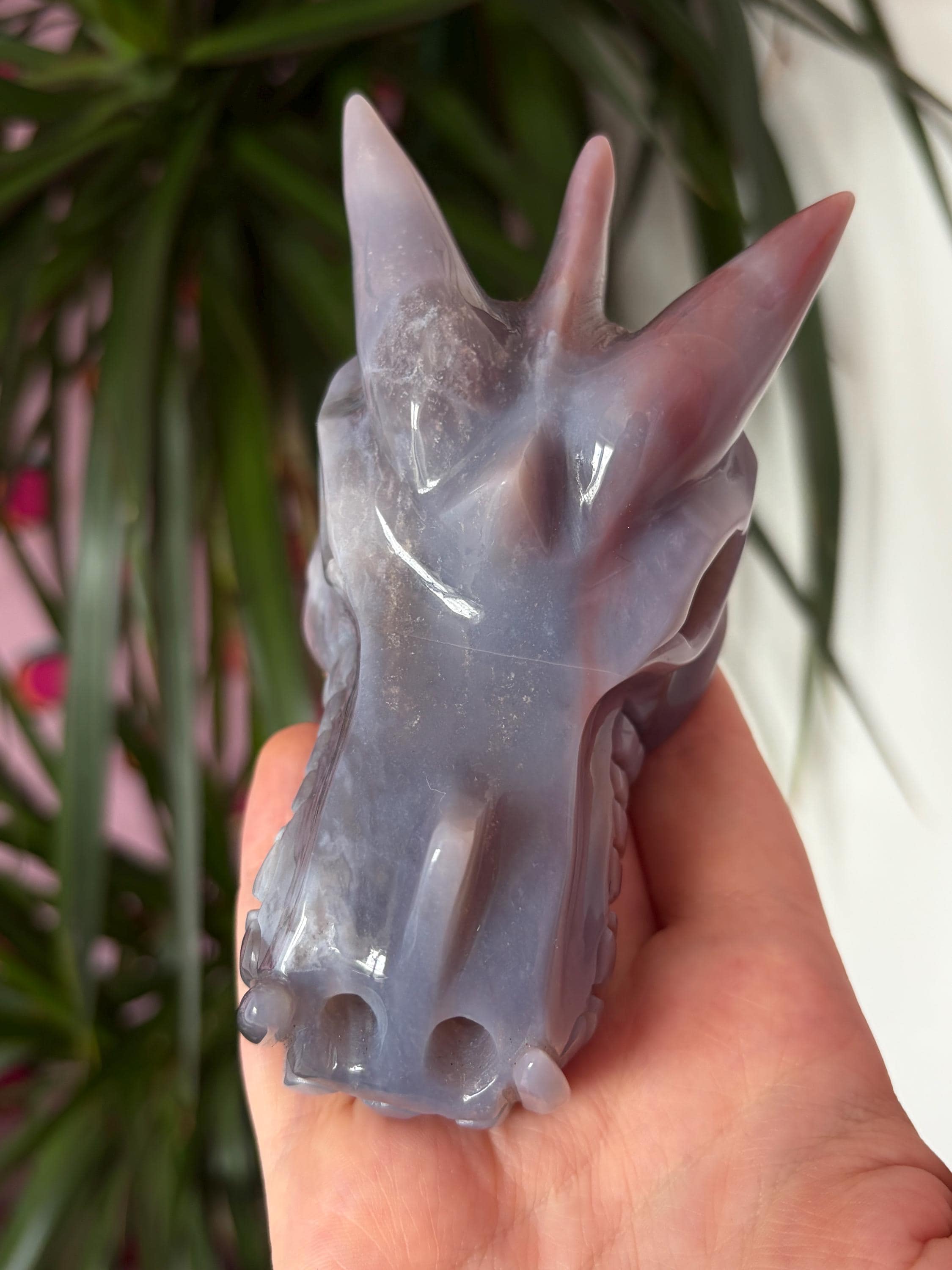 Sea Jasper Dragon Skull