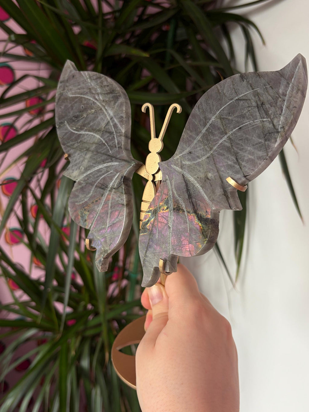 Labradorite Butterfly Wings with Custom Stand