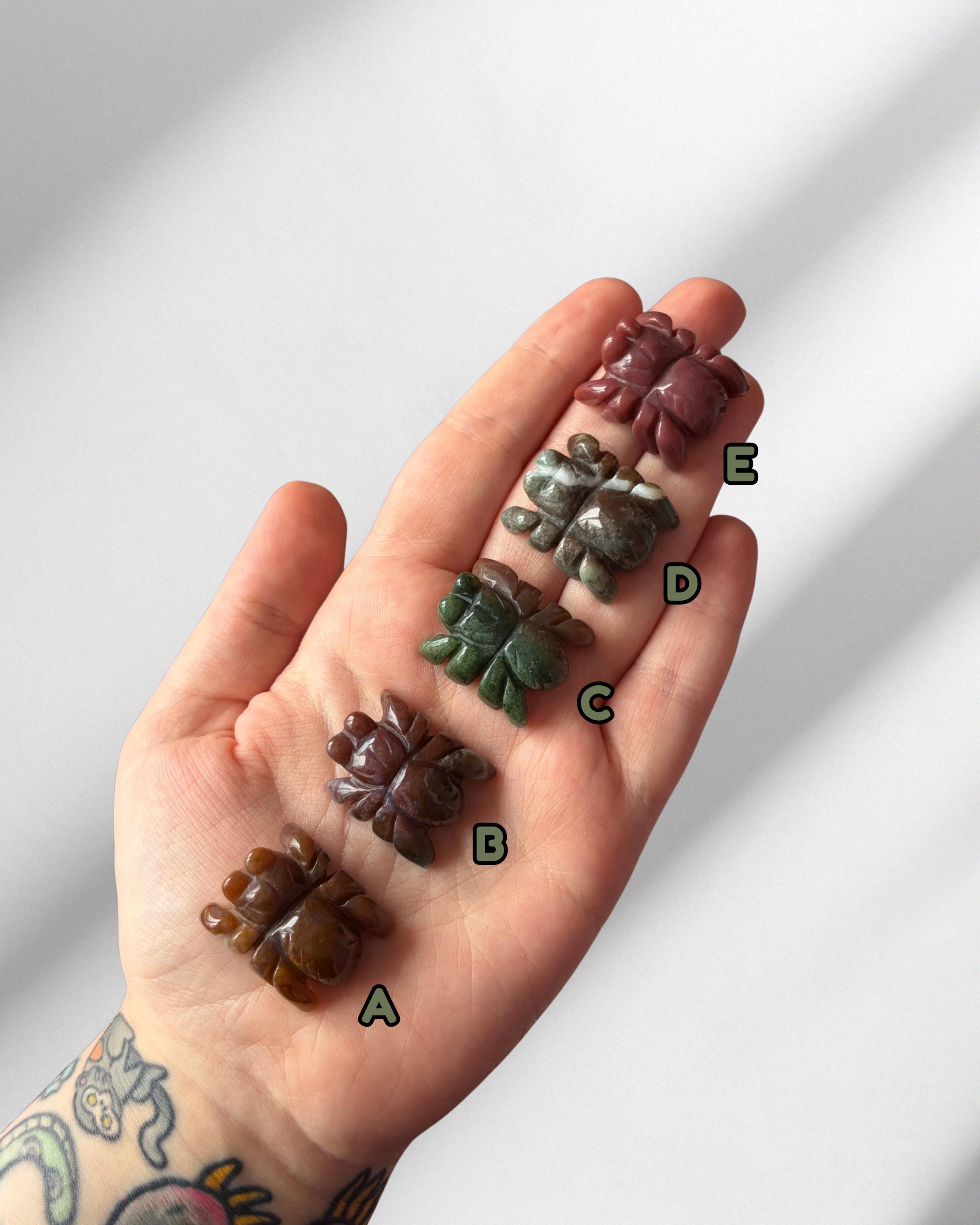 Mini Sea Jasper Spiders