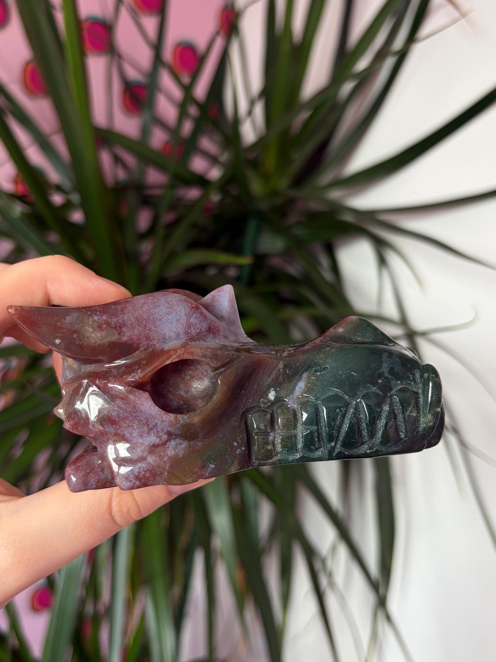 Sea Jasper Dragon Skull