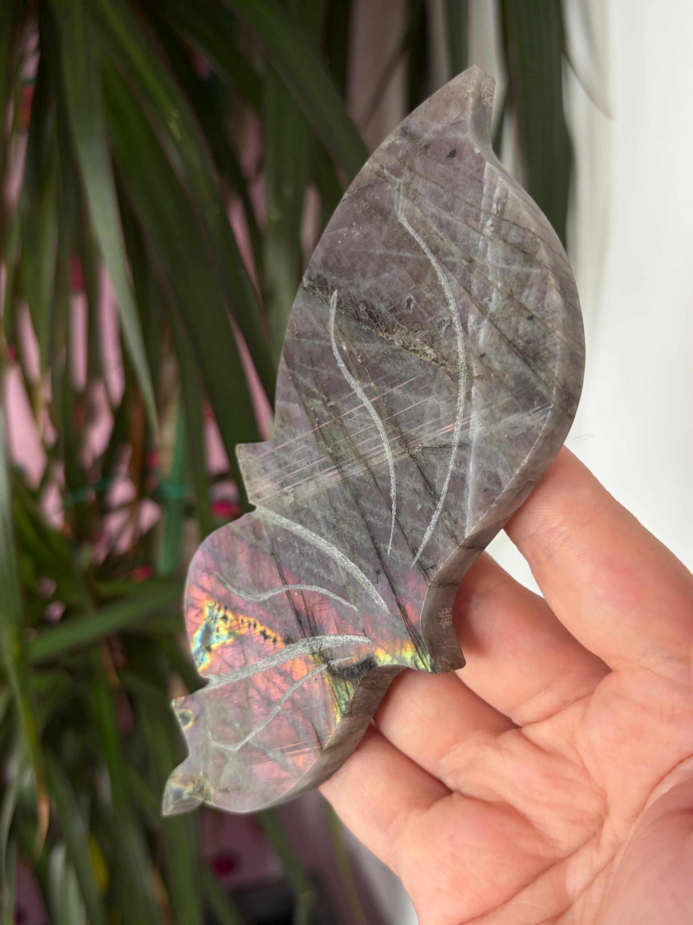 Labradorite Butterfly Wings with Custom Stand