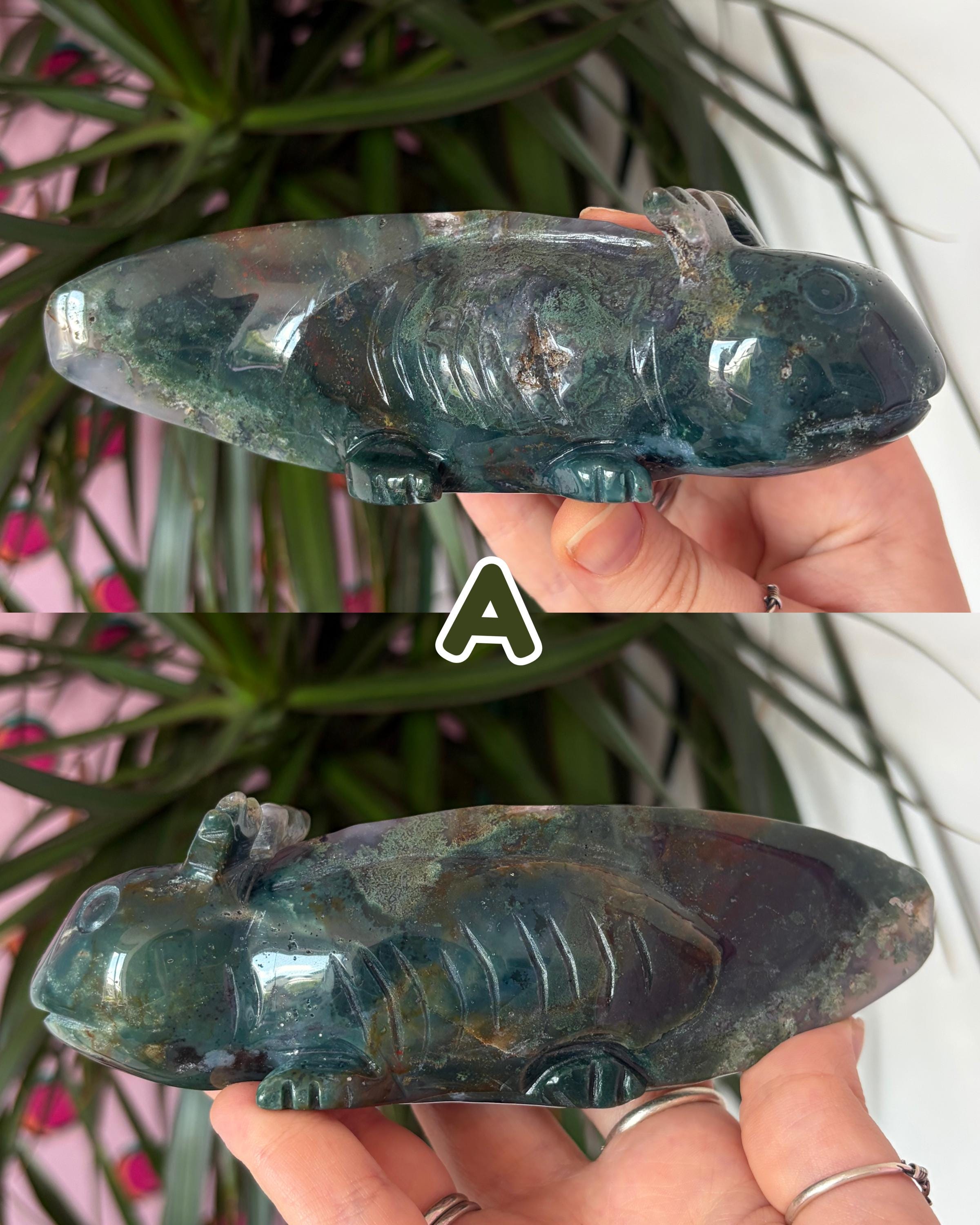 Moss Agate Axolotls