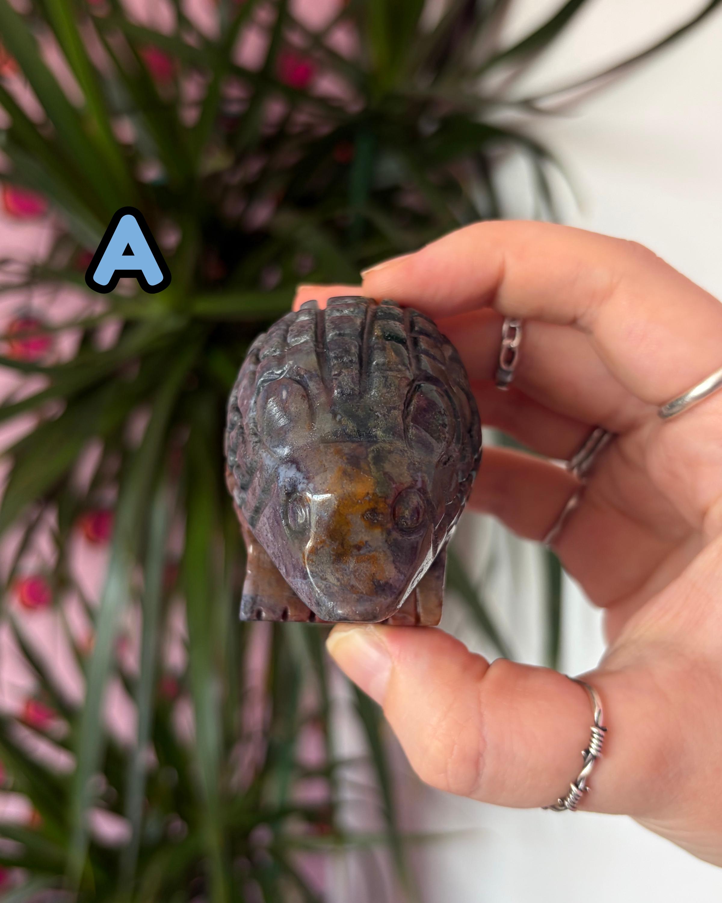 Sea Jasper Hedgehogs