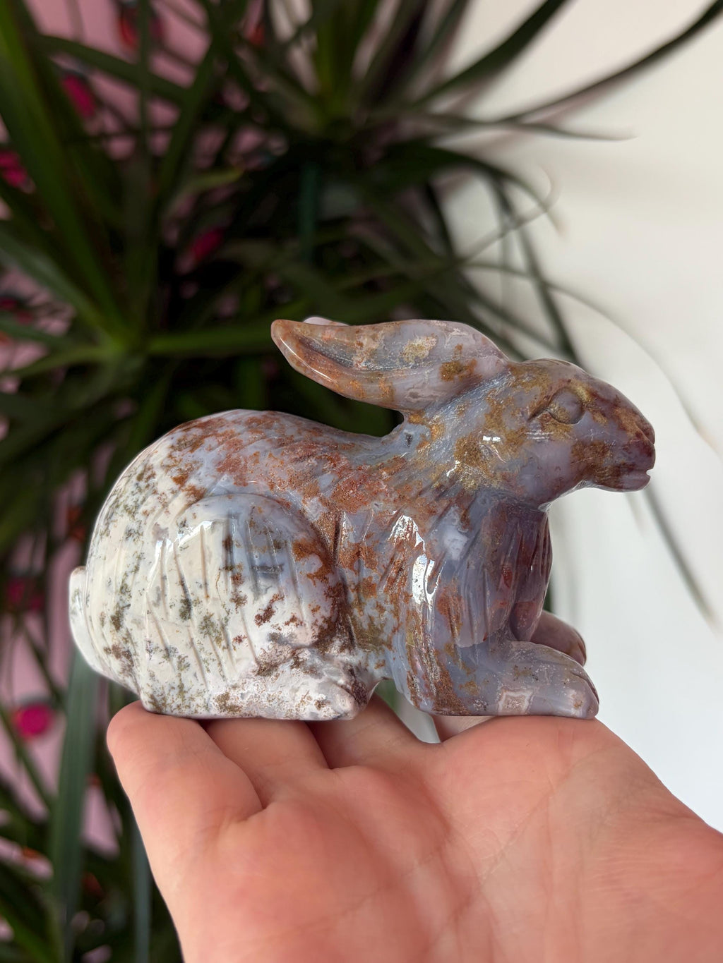 Sea Jasper Rabbit