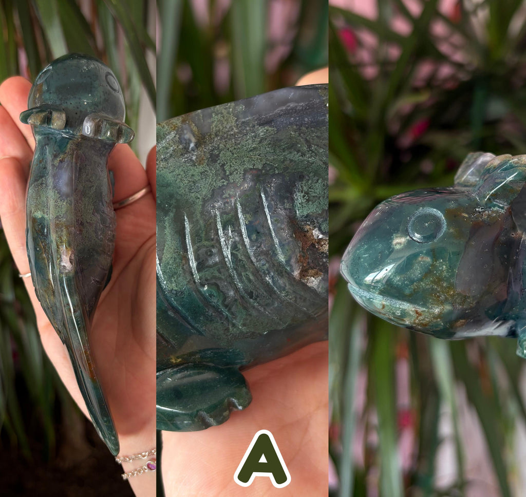 Moss Agate Axolotls