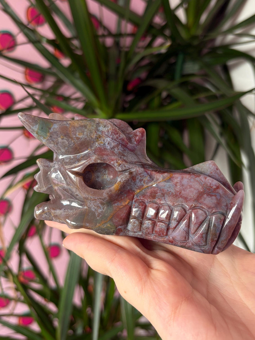 Sea Jasper Dragon Skull