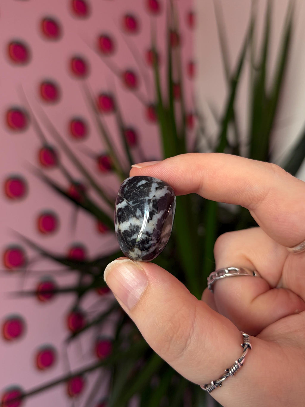 Zebra Jasper Tumblestone