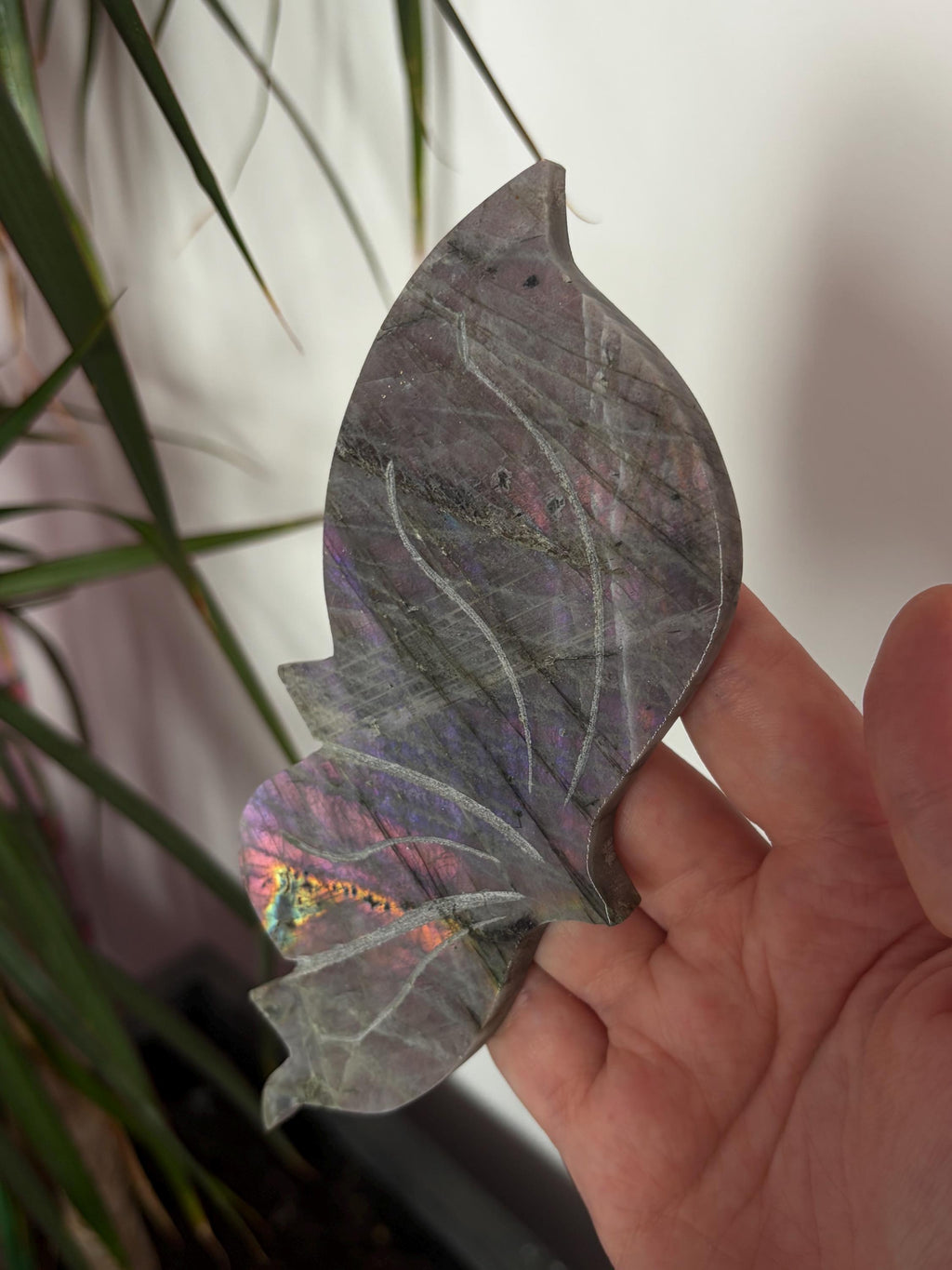 Labradorite Butterfly Wings with Custom Stand