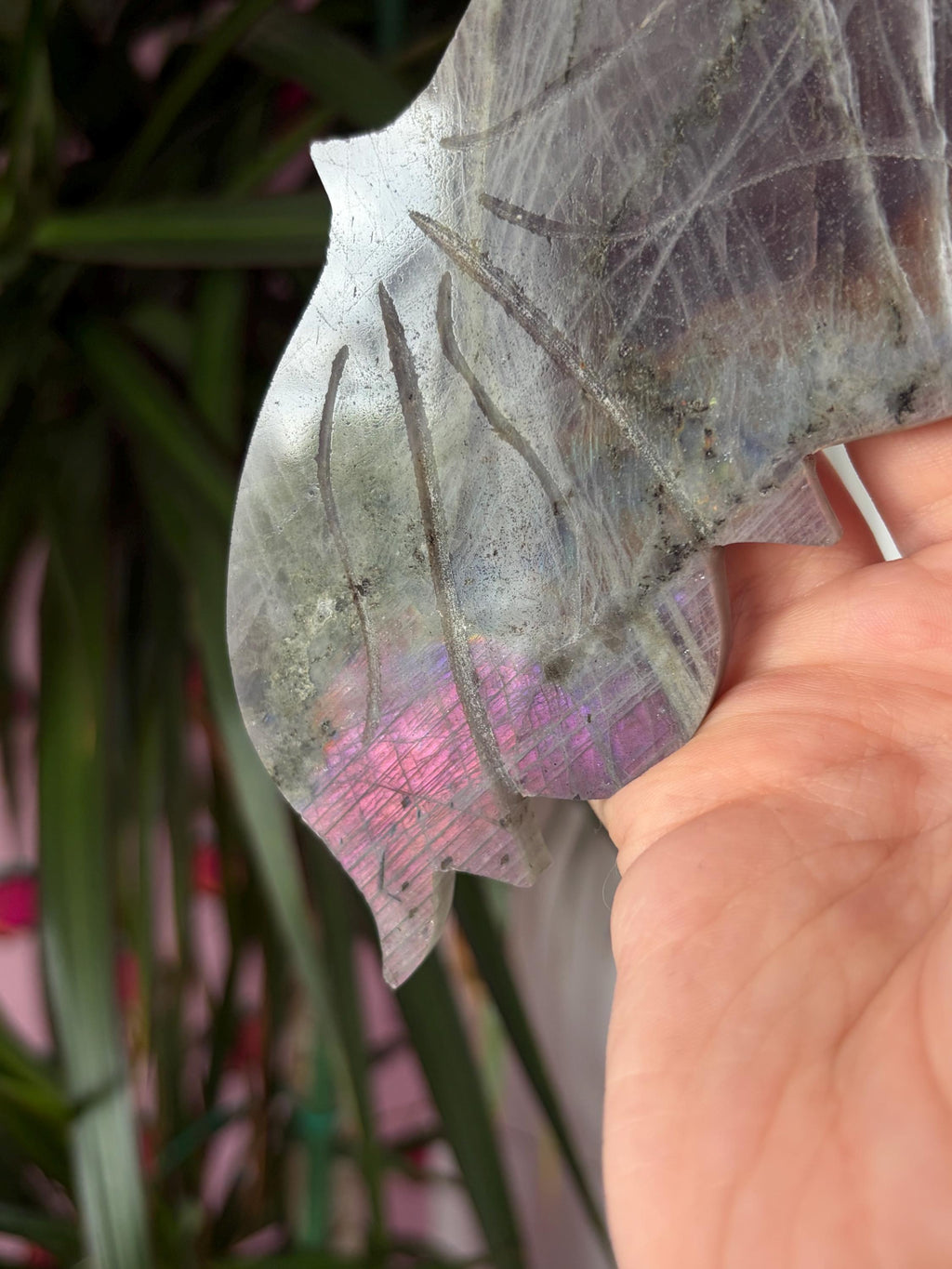 Labradorite Butterfly Wings with Custom Stand