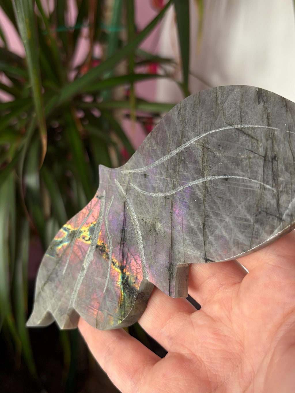 Labradorite Butterfly Wings with Custom Stand