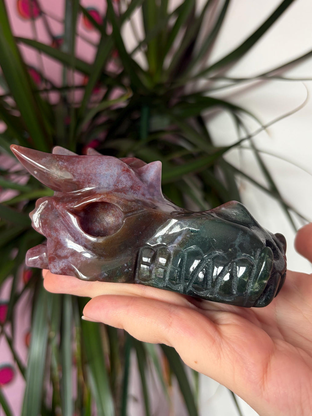 Sea Jasper Dragon Skull