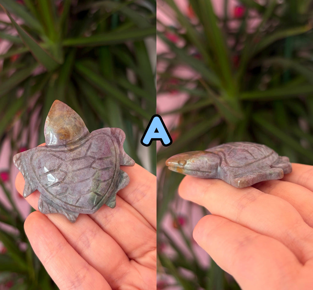 Sea jasper turtles
