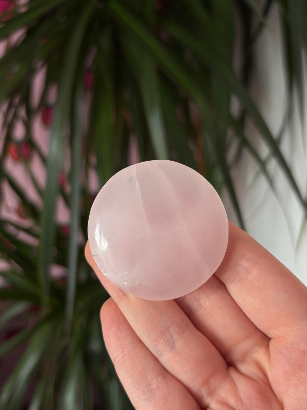 Mangano Calcite Button Palmstone