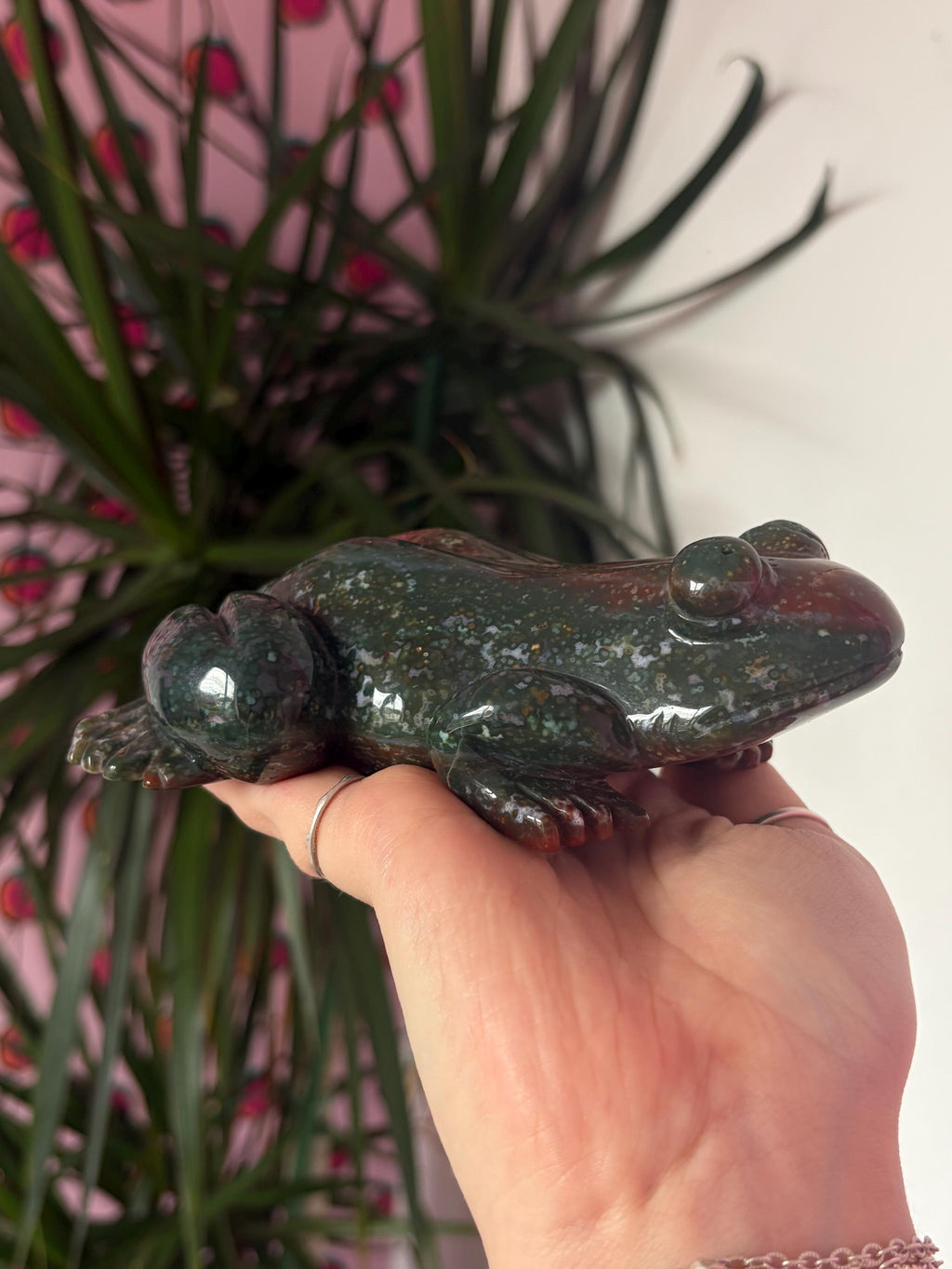 Large Sea Jasper Frog