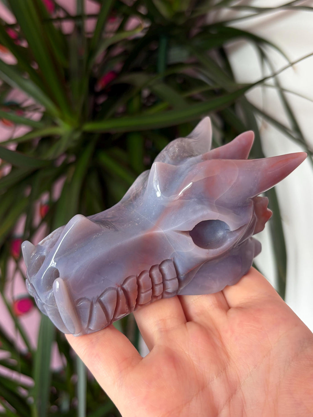 Sea Jasper Dragon Skull