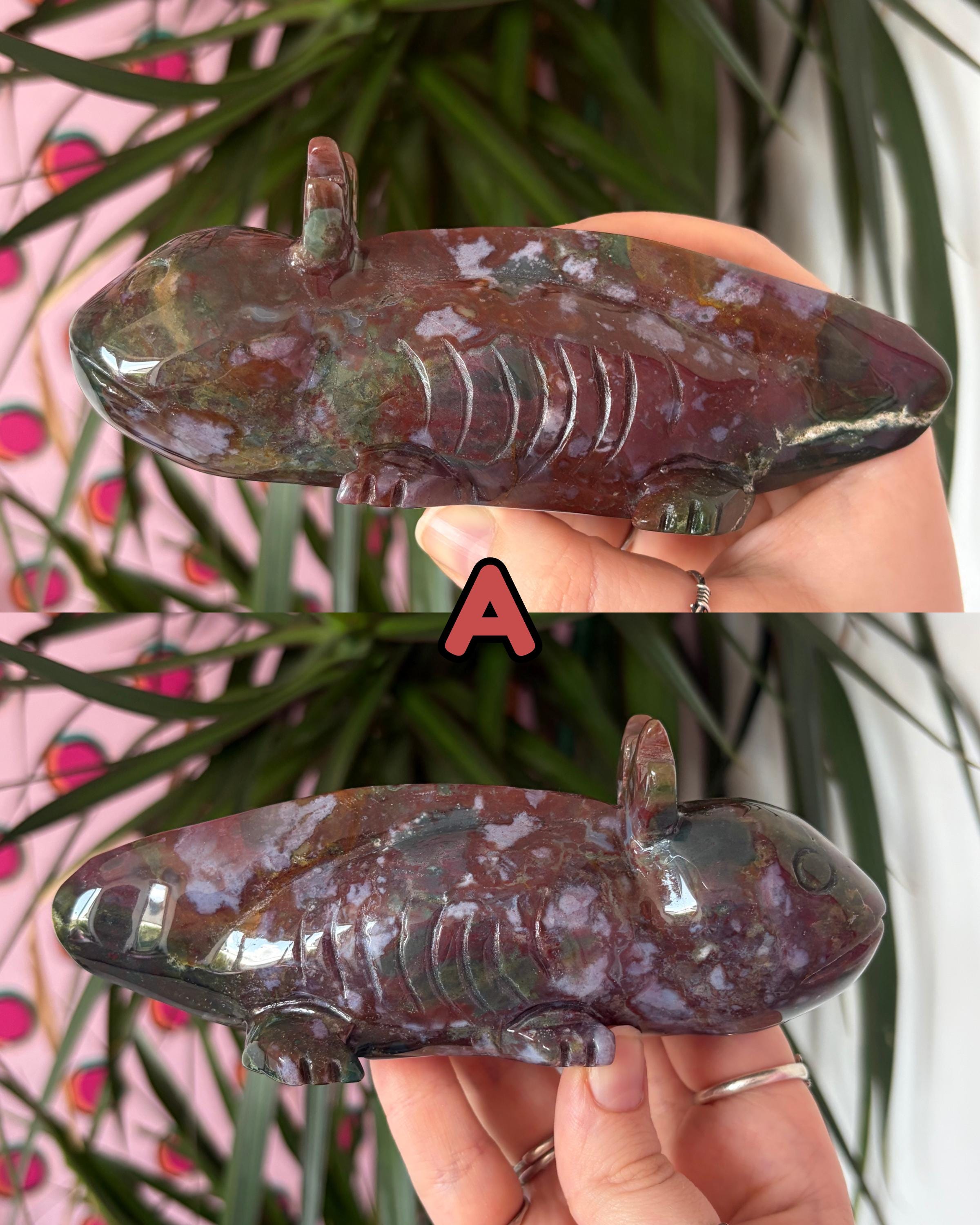 Sea Jasper Axolotls