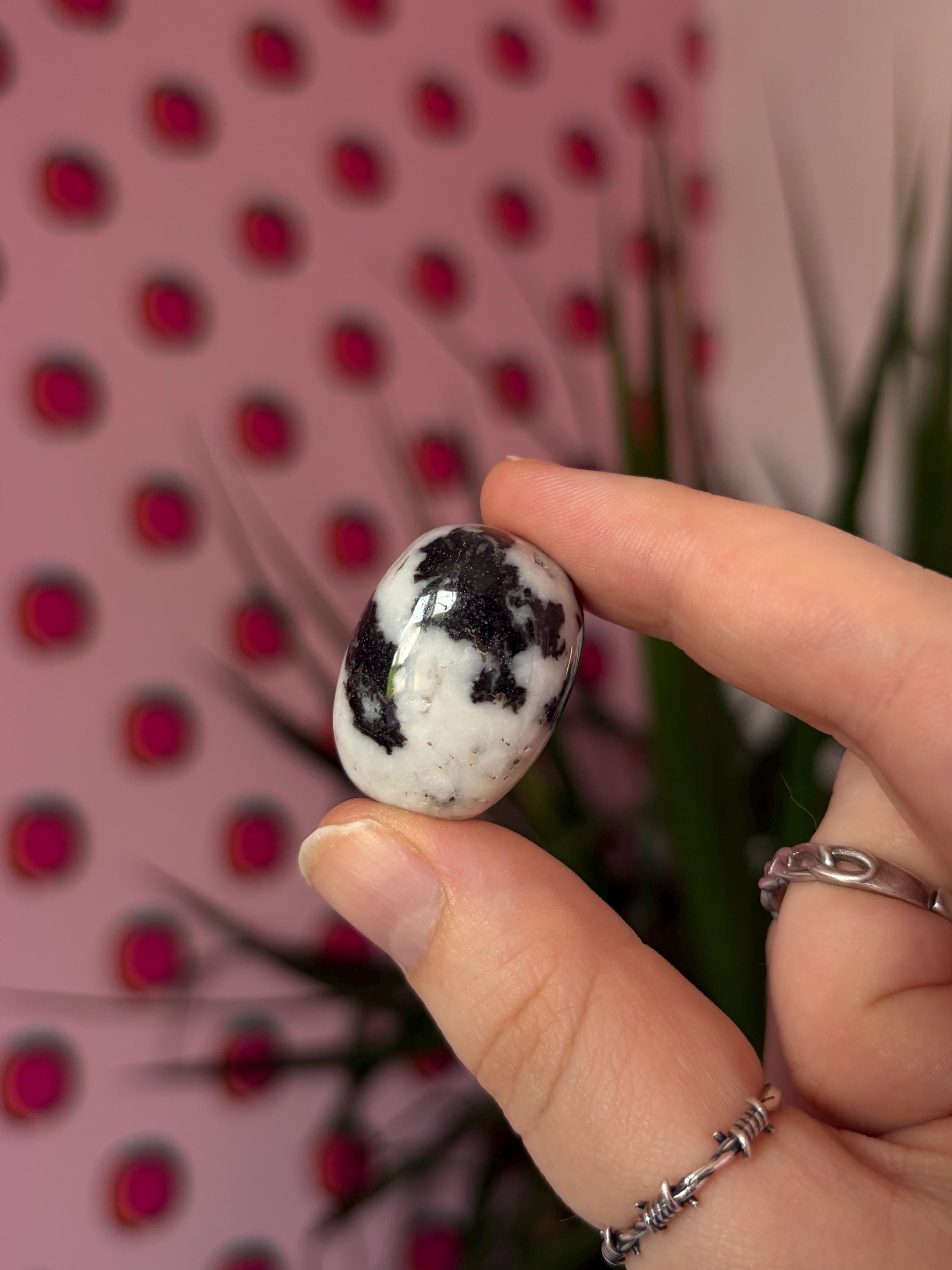 Zebra Jasper Tumblestone