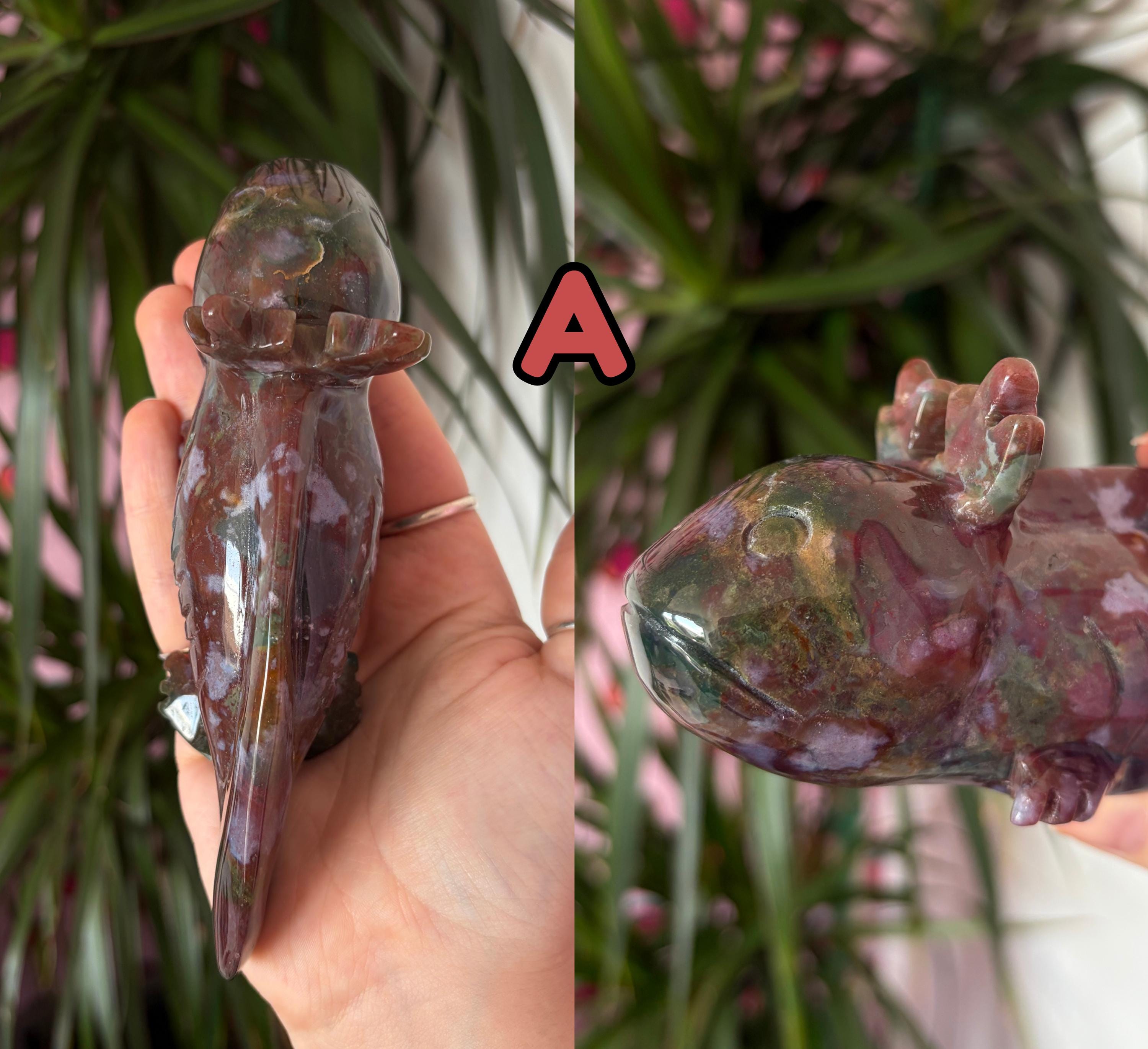 Sea Jasper Axolotls