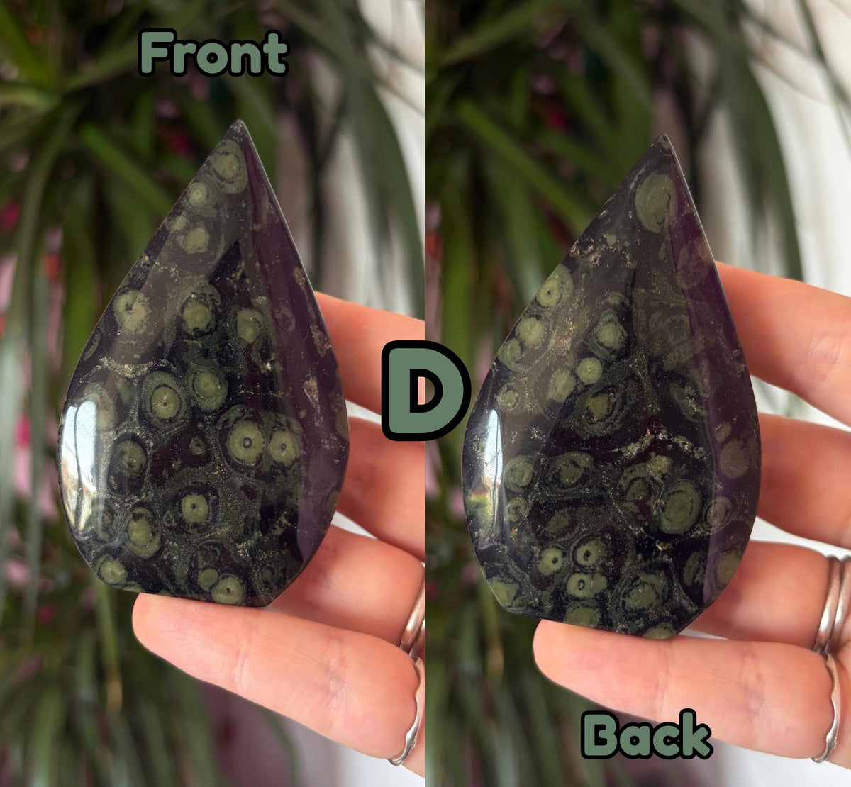 Kambaba Jasper Arrowhead