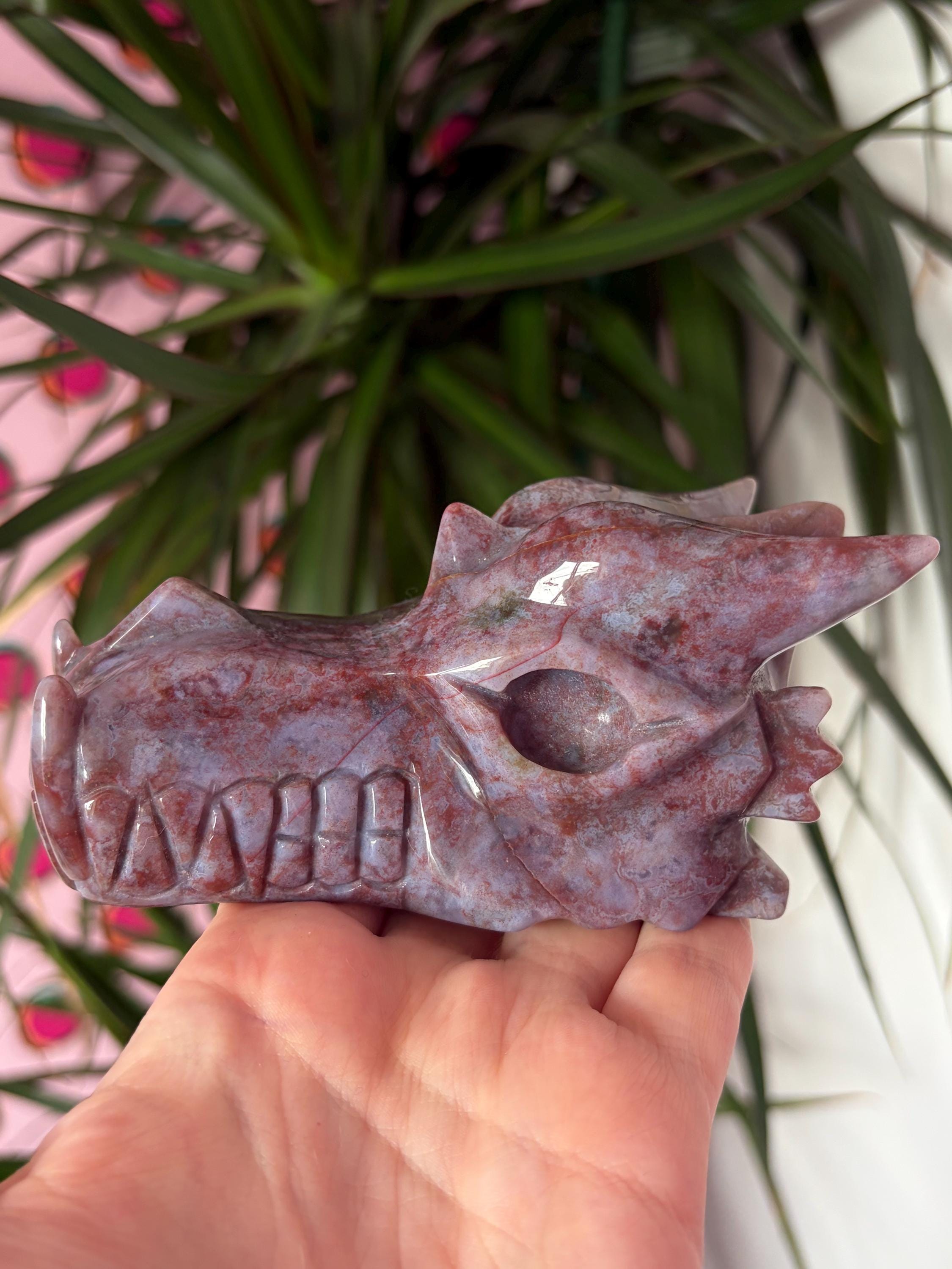 Sea Jasper Dragon Skull