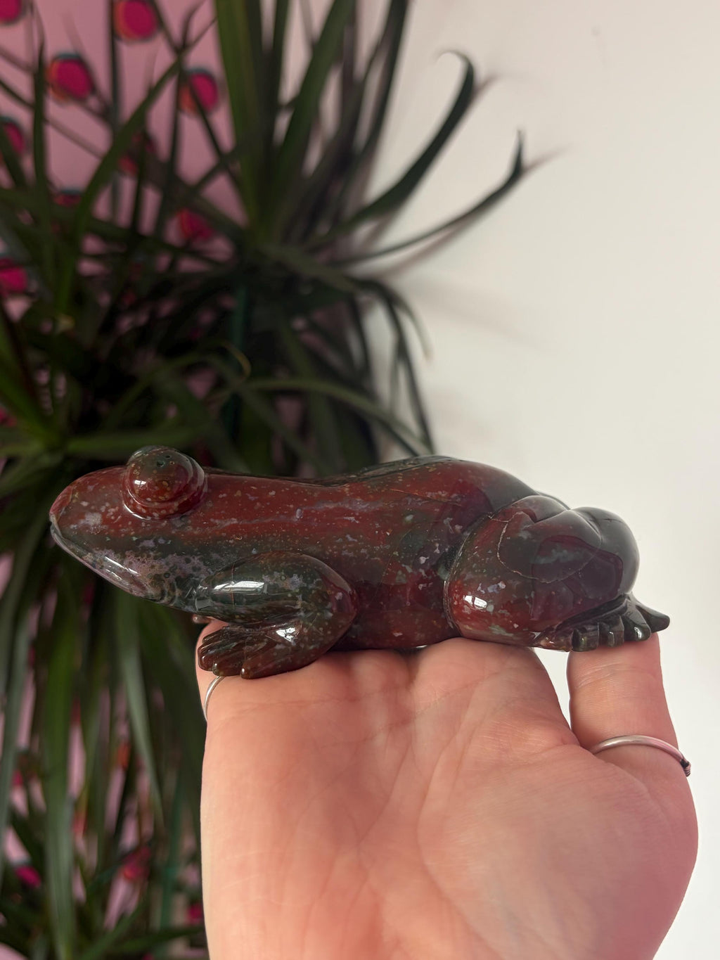 Large Sea Jasper Frog