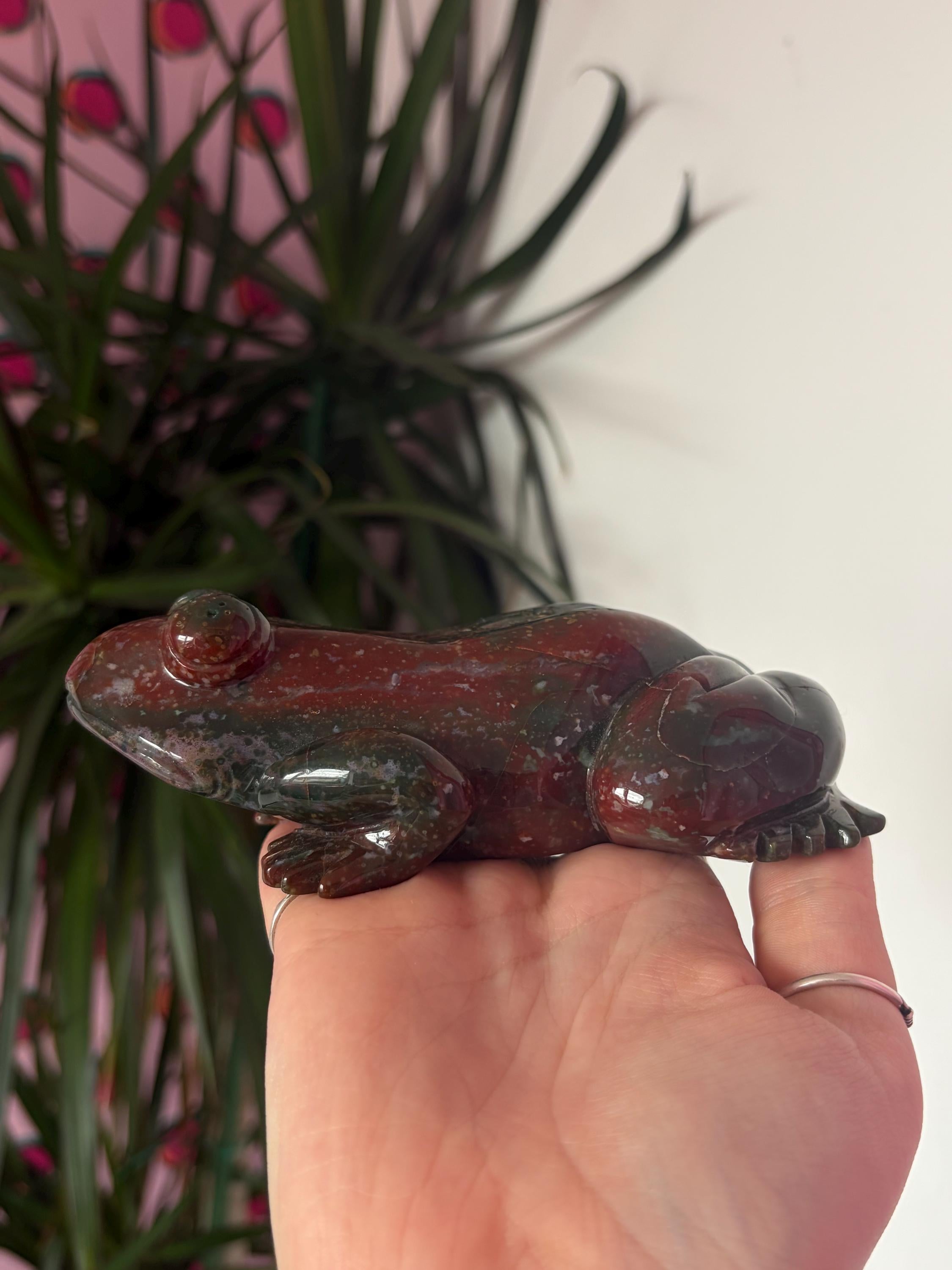 Large Sea Jasper Frog